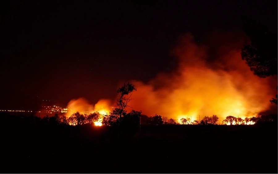 Incêndios destruíram milhares de hectares de cana. Saiba o que está por trás das queimadas