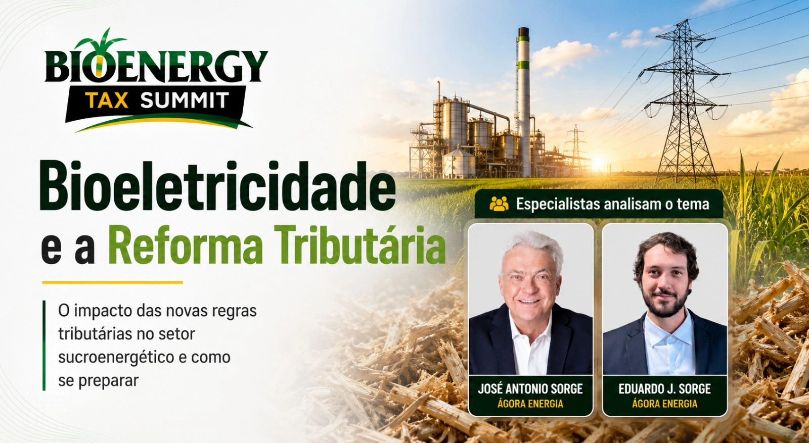 Bioeletricidade pode ter novas regras com a Reforma Tributária e desafiar estratégia das usinas