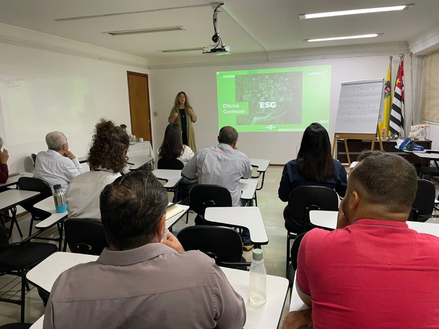 CEISE Br e Sebrae-SP promovem instrutoria sobre ESG