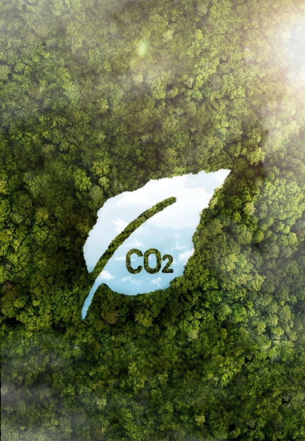 Brasil acelera na transição energética: CEISE Br e CPL Bioenergia celebram E30 e B15
