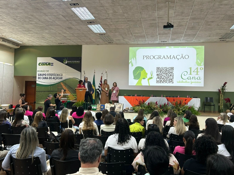14º Cana Substantivo Feminino reúne lideranças e conta com apoio do CEISE Br