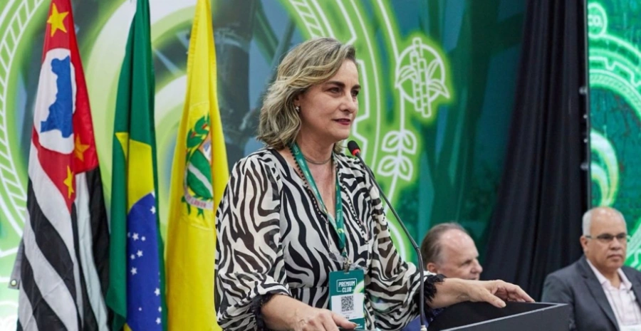 Como reduzir o Custo Brasil, segundo Rosana Amadeu, presidente do CEISE Br