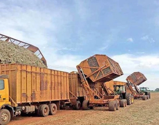 Depois da cana, usinas se preparam para sequestrar carbono também no processo de produção